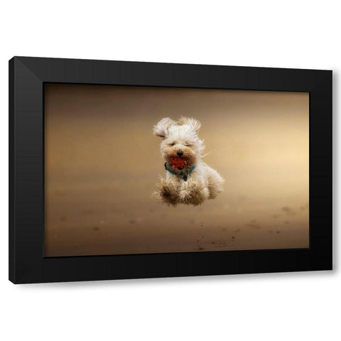 Happy. Black Modern Wood Framed Art Print with Double Matting by Saavedra Ruiz, Sergio