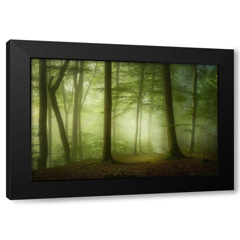 Mysterious Spring Morning Black Modern Wood Framed Art Print by Maier, Norbert