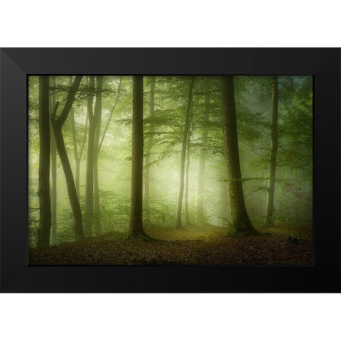 Mysterious Spring Morning Black Modern Wood Framed Art Print by Maier, Norbert