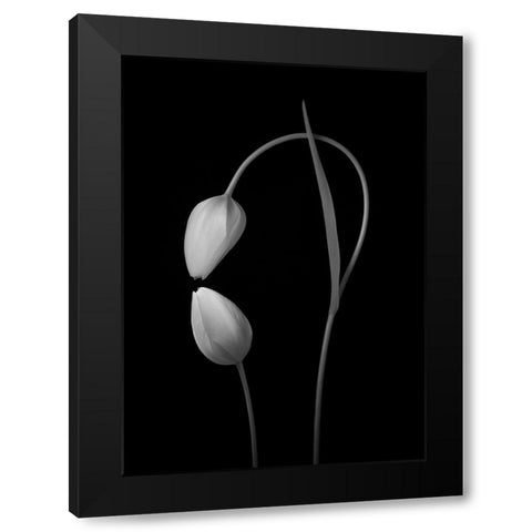 Flowers Love Black Modern Wood Framed Art Print by Xu, Tony