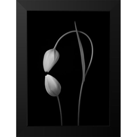 Flowers Love Black Modern Wood Framed Art Print by Xu, Tony
