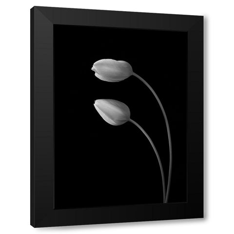 Flowers Love Black Modern Wood Framed Art Print by Xu, Tony