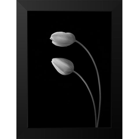 Flowers Love Black Modern Wood Framed Art Print by Xu, Tony