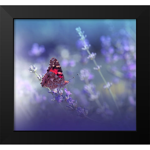 Queen Of Flowers.. Black Modern Wood Framed Art Print by Nan, Juliana