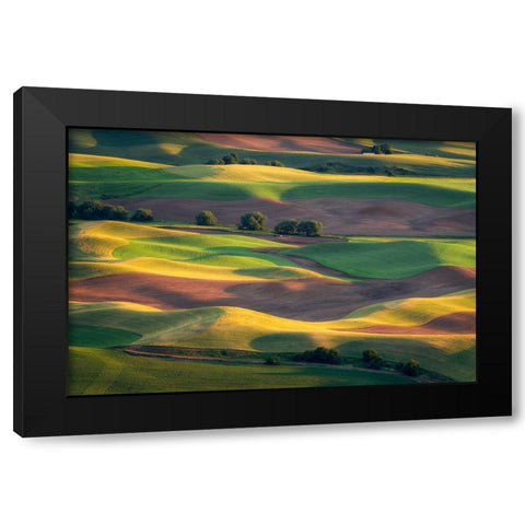 Colorful Palouse Black Modern Wood Framed Art Print with Double Matting by Macua, Gerald