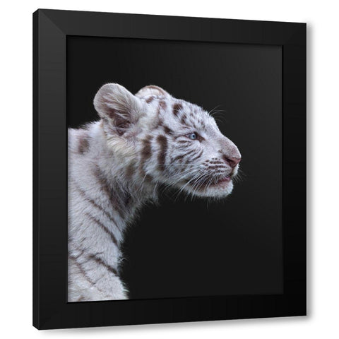 The Hunter Black Modern Wood Framed Art Print by Fegari