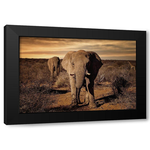 Big Black Modern Wood Framed Art Print by Lackner, Walter