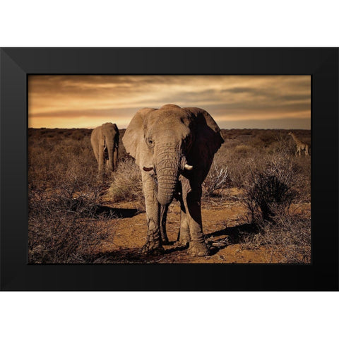 Big Black Modern Wood Framed Art Print by Lackner, Walter