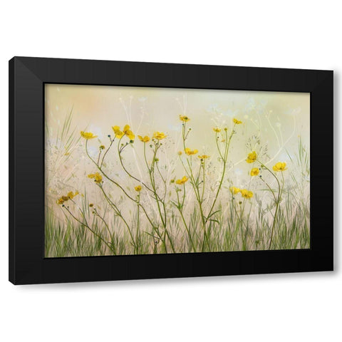 Good Morning! Black Modern Wood Framed Art Print by Talen, Nel