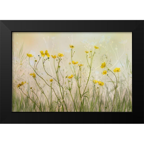 Good Morning! Black Modern Wood Framed Art Print by Talen, Nel