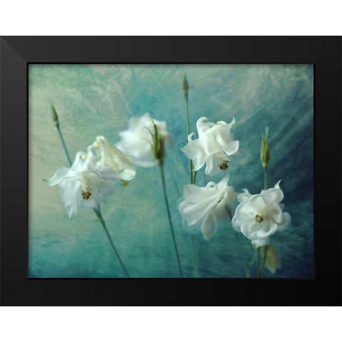 Crowns Of Thorns Black Modern Wood Framed Art Print by Kreiten, Mike