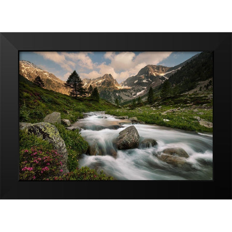 Maritime Alps Park Black Modern Wood Framed Art Print by Bolla, Paolo