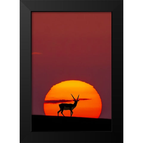 Sun Crossing Black Modern Wood Framed Art Print by Saleem, Abdul