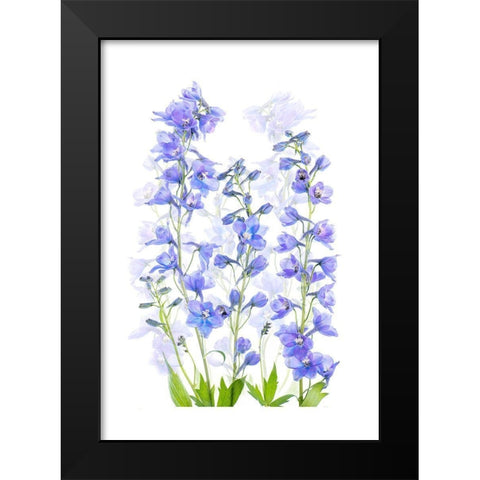 Delphinium Black Modern Wood Framed Art Print by Parker, Jacky