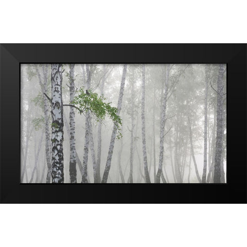 Non-Flying Weather Black Modern Wood Framed Art Print by Romanchuk, Sergey