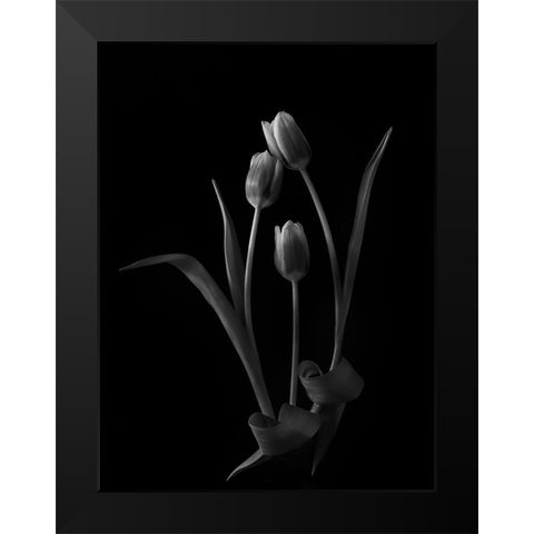 Familylove Black Modern Wood Framed Art Print by Liu, Yanny