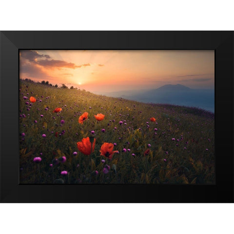 Rudbar Heights In Spring Black Modern Wood Framed Art Print by Behzad, Majid