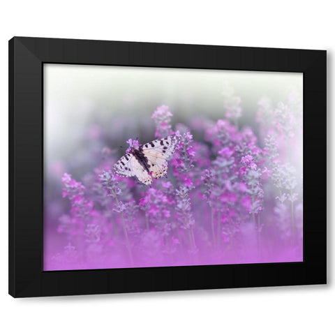 Queen Of Flowers..II Black Modern Wood Framed Art Print by Nan, Juliana