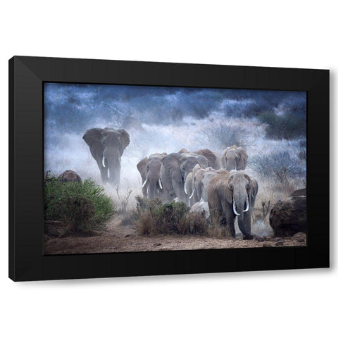 Elephants Of Amboseli Black Modern Wood Framed Art Print by George, Sherin