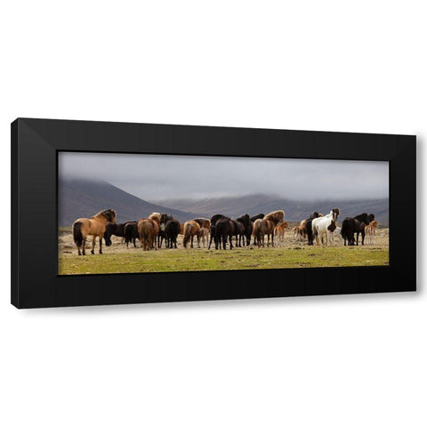 Big Family Black Modern Wood Framed Art Print with Double Matting by H. Ingibergsson, Torsteinn