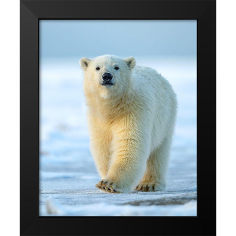 Confidence Black Modern Wood Framed Art Print by Tsui, Hung