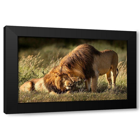 Intimate Black Modern Wood Framed Art Print with Double Matting by Tsui, Hung