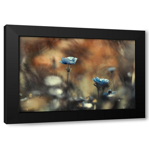 Let Flowers Rule The World Black Modern Wood Framed Art Print by Bravin, Fabien