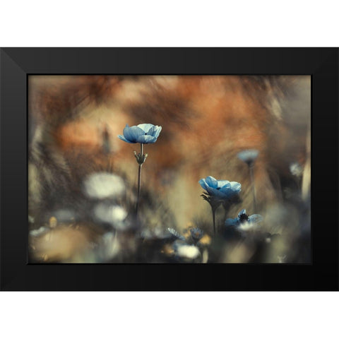 Let Flowers Rule The World Black Modern Wood Framed Art Print by Bravin, Fabien