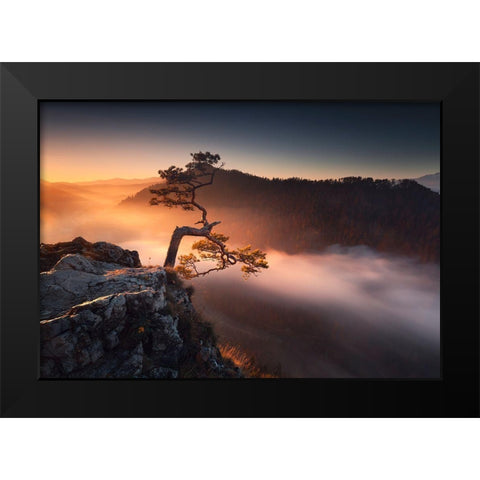 Sokolica Black Modern Wood Framed Art Print by Nienartowicz, Karol