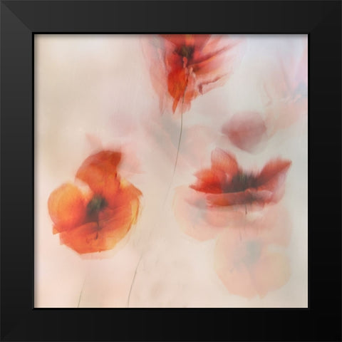 Painted Poppies Black Modern Wood Framed Art Print by Talen, Nel