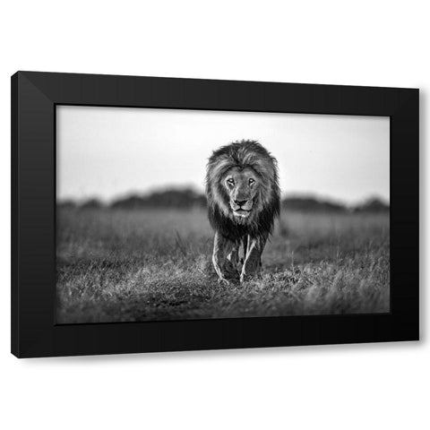 Old Boy Black Modern Wood Framed Art Print by Ortega, Xavier