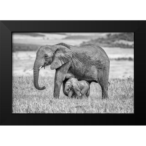 Staying Close And Protected Black Modern Wood Framed Art Print by C. Sink, Jeffrey