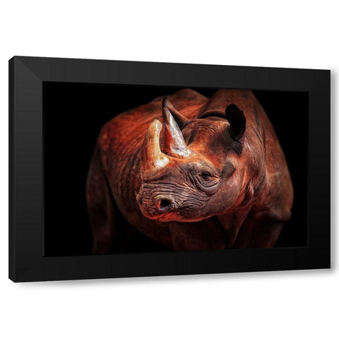 Rhino Posing Black Modern Wood Framed Art Print by Wenner-Braun, Antje