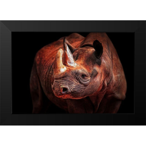 Rhino Posing Black Modern Wood Framed Art Print by Wenner-Braun, Antje