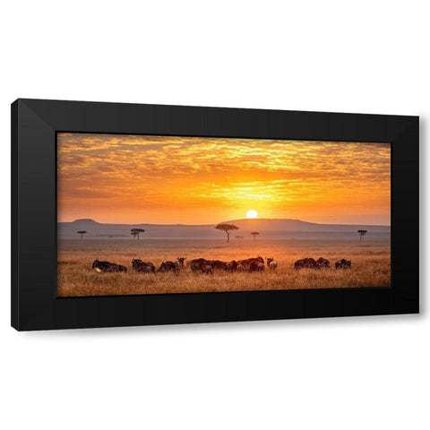 Sunrise Black Modern Wood Framed Art Print by Tsui, Hung