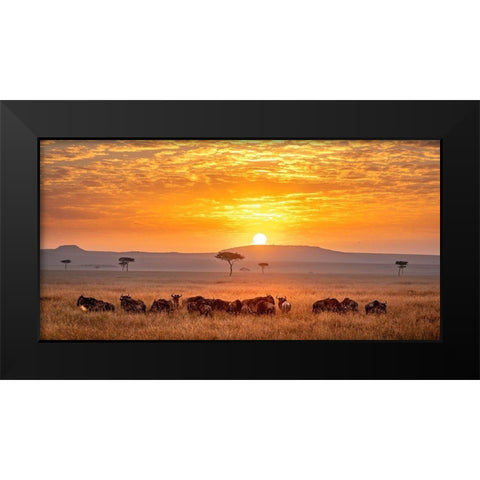 Sunrise Black Modern Wood Framed Art Print by Tsui, Hung