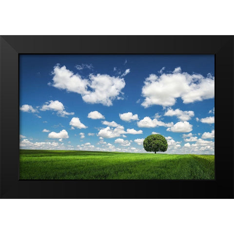 Lonely Tree Black Modern Wood Framed Art Print by Hamiti, Bess