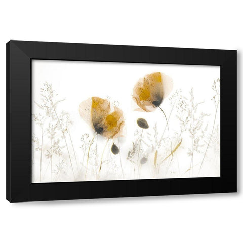 Subtle... Black Modern Wood Framed Art Print with Double Matting by Talen, Nel