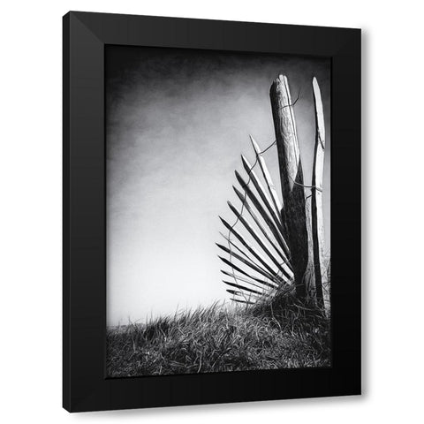 No (Of)Fence In The Dunes Black Modern Wood Framed Art Print by Flour, Bruno