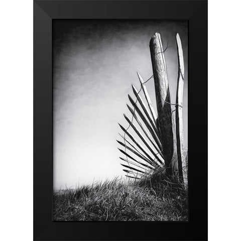 No (Of)Fence In The Dunes Black Modern Wood Framed Art Print by Flour, Bruno