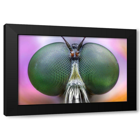 Amazing Eyes Black Modern Wood Framed Art Print by Ghizzi Panizza, Alberto