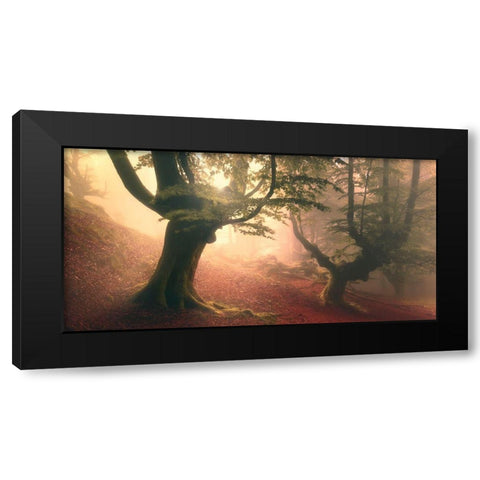 Fangorn Forest Black Modern Wood Framed Art Print by Rivera, Roberto
