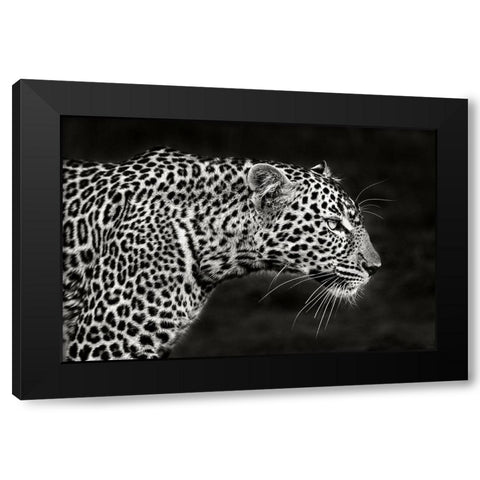 Leopard Close Up Black Modern Wood Framed Art Print with Double Matting by Ortega, Xavier