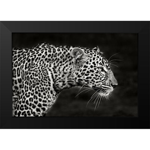 Leopard Close Up Black Modern Wood Framed Art Print by Ortega, Xavier