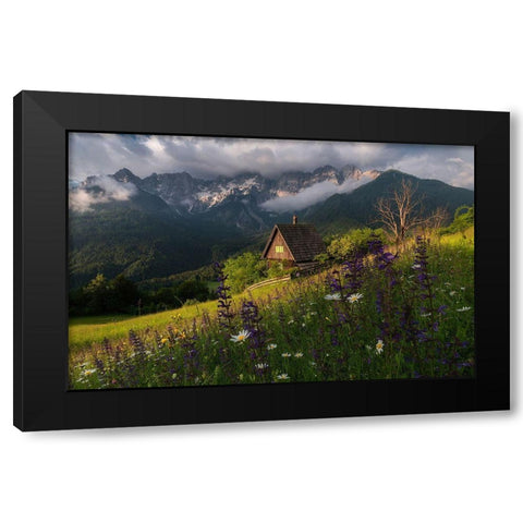 On The Meadows Black Modern Wood Framed Art Print by Krivec, Ales