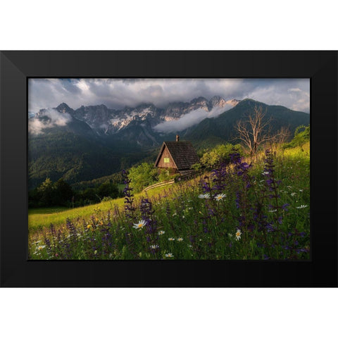 On The Meadows Black Modern Wood Framed Art Print by Krivec, Ales