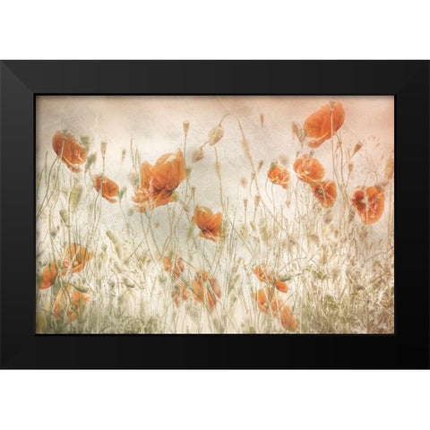 Poppies In The Field Black Modern Wood Framed Art Print by Talen, Nel