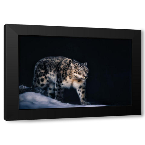 Snow Leopard Black Modern Wood Framed Art Print by Zhao, Alex