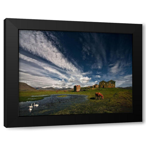 Country Life Black Modern Wood Framed Art Print with Double Matting by H. Ingibergsson, Torsteinn