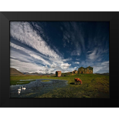 Country Life Black Modern Wood Framed Art Print by H. Ingibergsson, Torsteinn